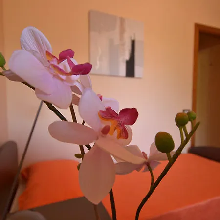 Adriana Panzió Comiso