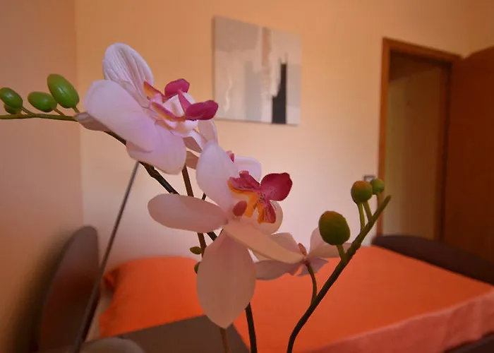 Adriana Bed & Breakfast Comiso