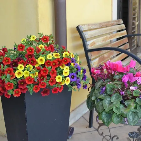 Bed & Breakfast Adriana 3*