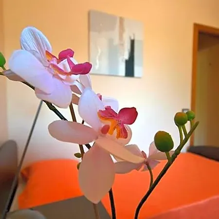 Bed & Breakfast Adriana 4*